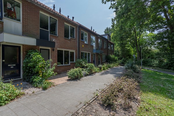 Blauwe Reiger 4, 3181 KA Rozenburg